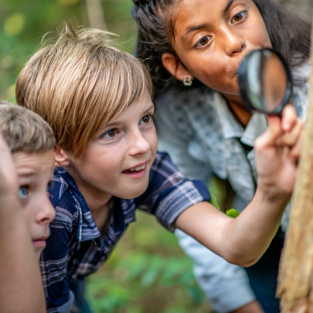 Foraging and Folklore for Kids